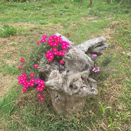 Willa Quinta Boavista Cercal do Alentejo Zewnętrze zdjęcie