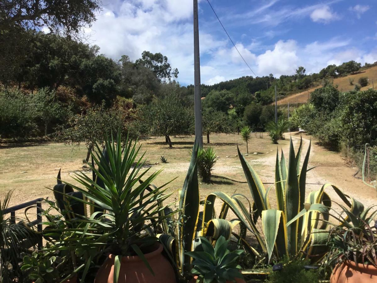 Willa Quinta Boavista Cercal do Alentejo Zewnętrze zdjęcie