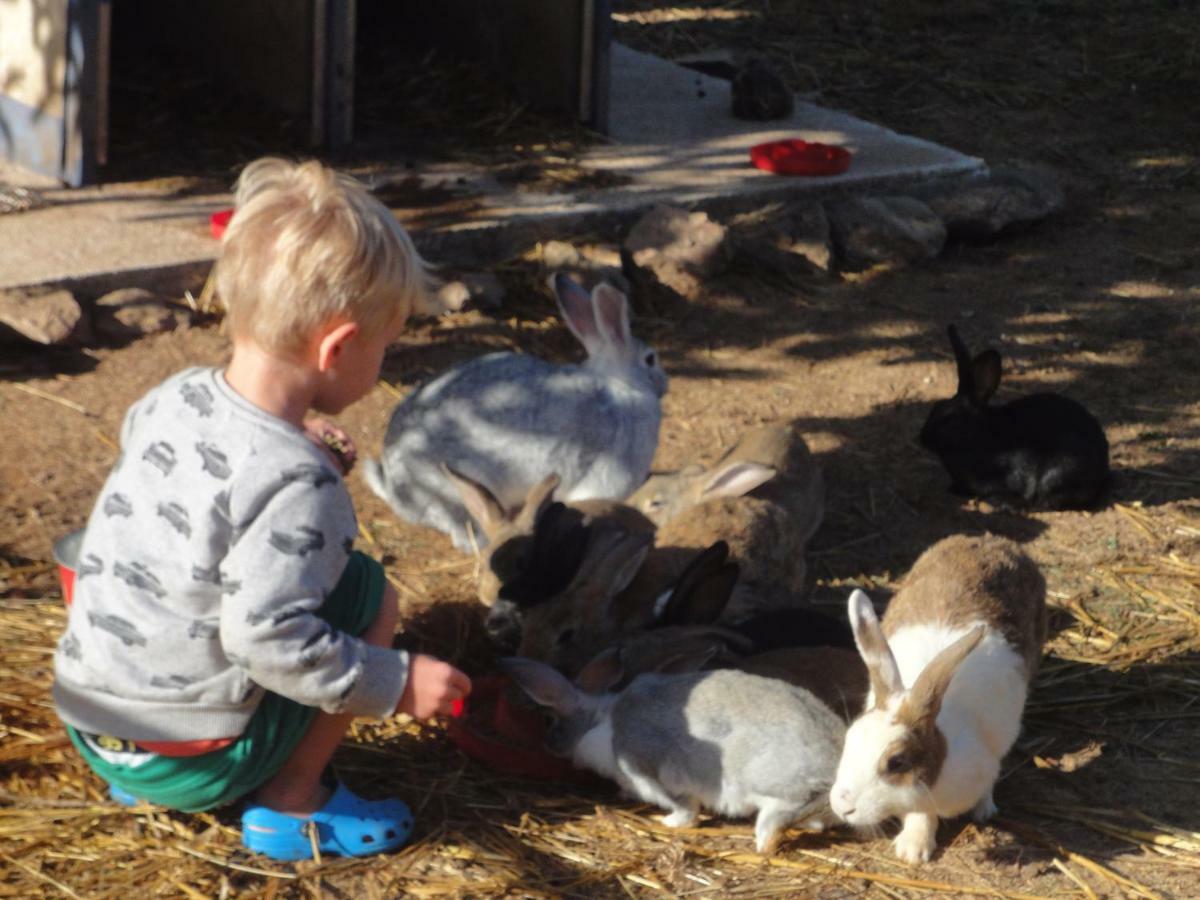 Willa Quinta Boavista Cercal do Alentejo Zewnętrze zdjęcie
