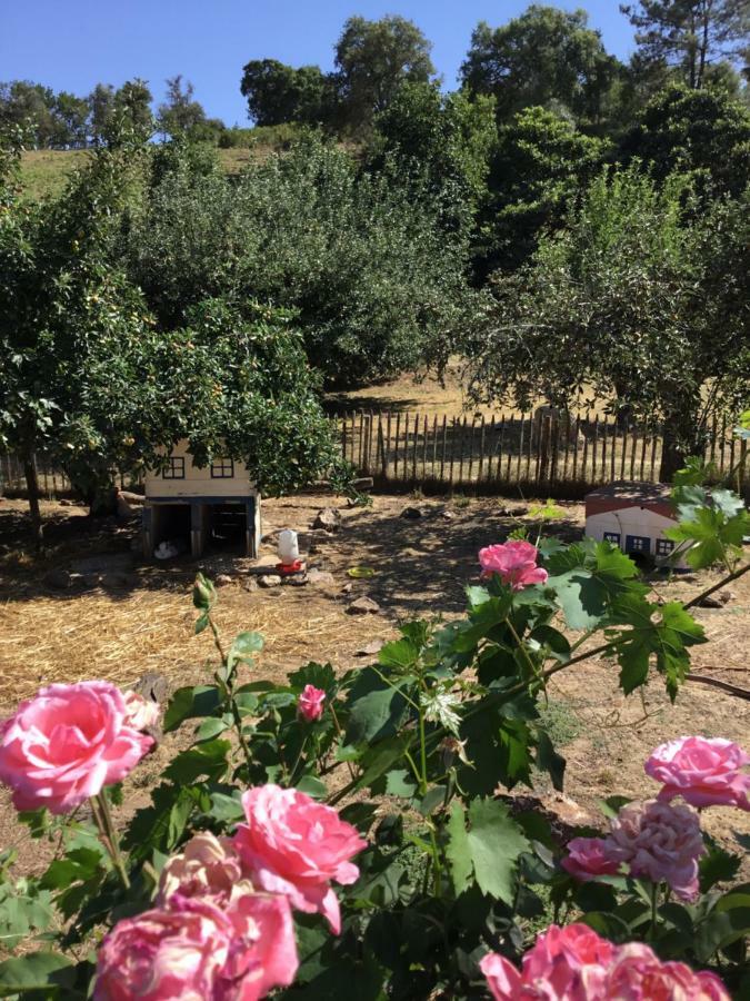 Willa Quinta Boavista Cercal do Alentejo Zewnętrze zdjęcie