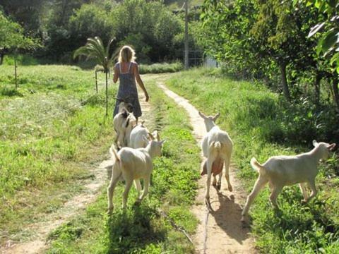 Willa Quinta Boavista Cercal do Alentejo Zewnętrze zdjęcie